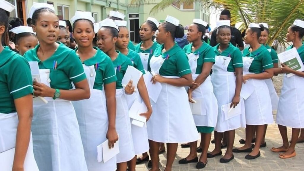 Ghana Registered Nurses and Midwives Association leadership suspends strike action