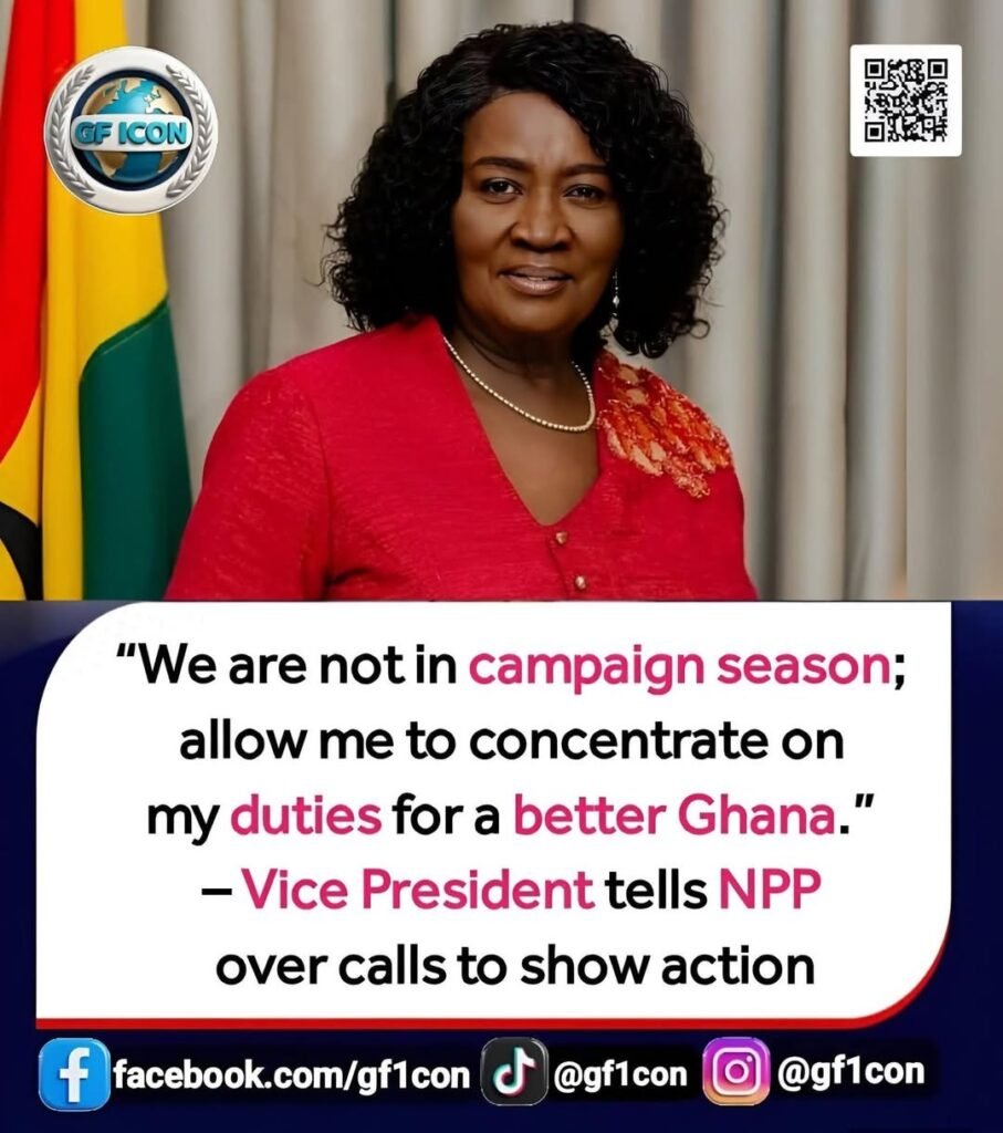 Vice President is doing impactful things, not performative things – Spokesperson to the Vice President 