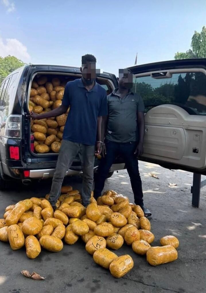 Authorities intensify crackdown on illicit substances and drug trafficking in 2026 Authorities intensify crackdown on illicit substances and drug trafficking in 2026