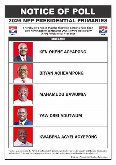 NPP Elections: Meet the 5 flagbearer candidates going to the polls on Saturday