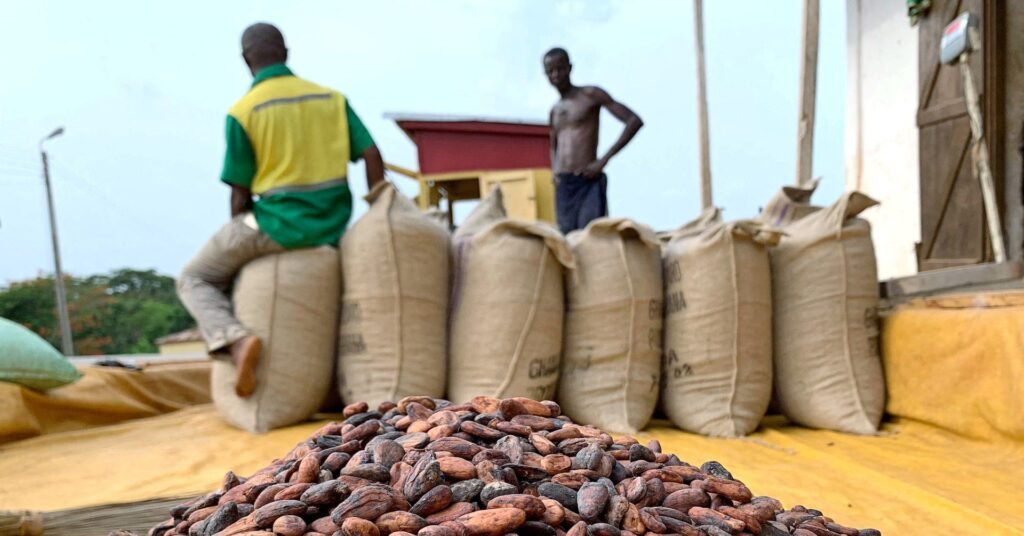 Ghanaians react to cocoa producer price slash Ghanaians react to cocoa producer price slash