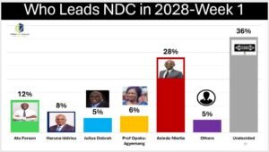 Why Cassiel Ato Forson Is Topping X Trends