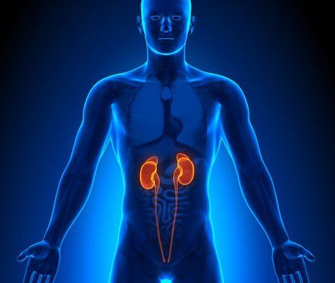 “Akans May Carry Higher Genetic Risk for Kidney Disease” — UG Professor “Akans May Carry Higher Genetic Risk for Kidney Disease” — UG Professor